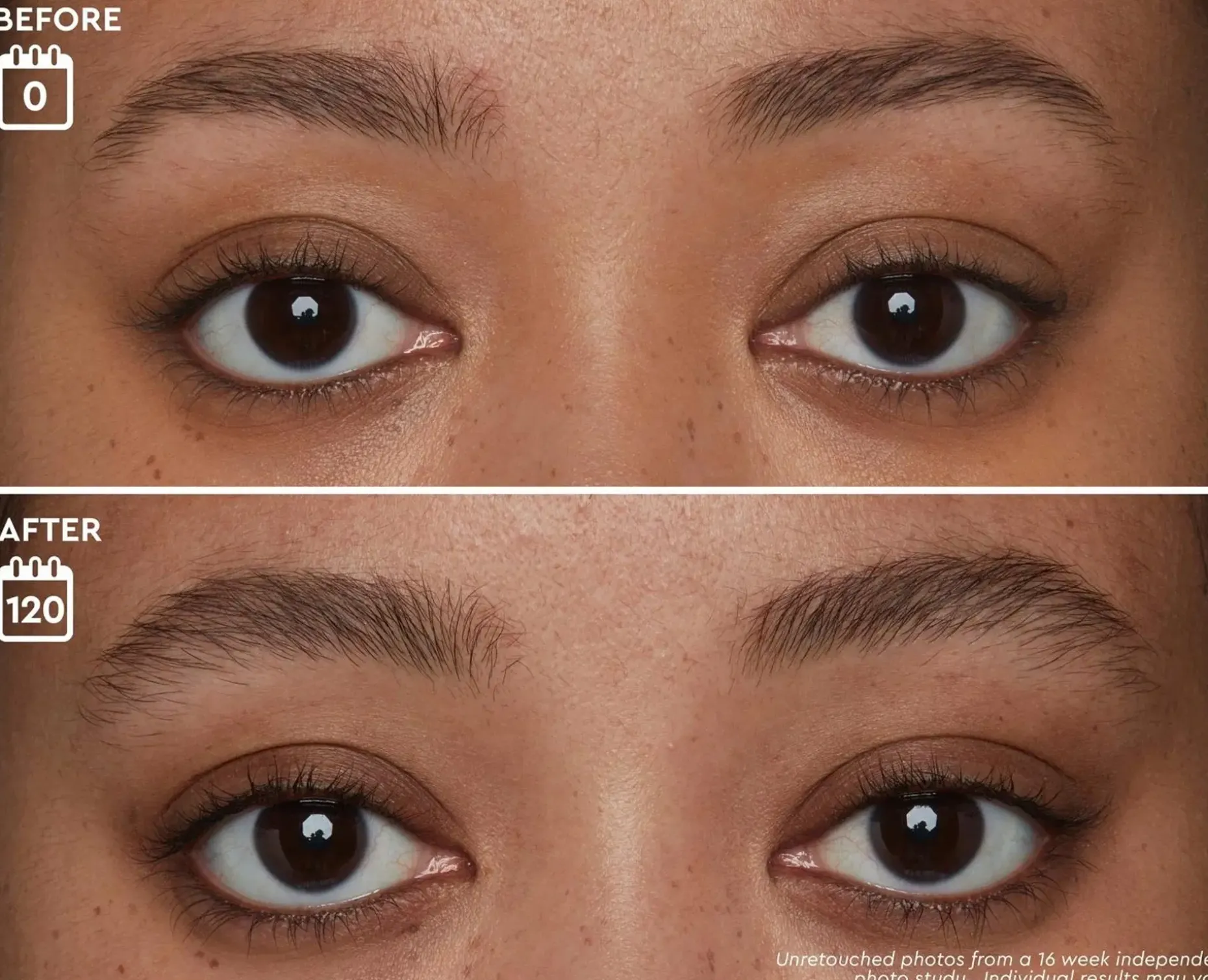 Anastasia Beverly Hills Brow Genius® Serum kulmaseerumi 3,5 ml