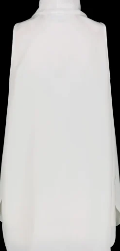 Andiata Faina toppi
