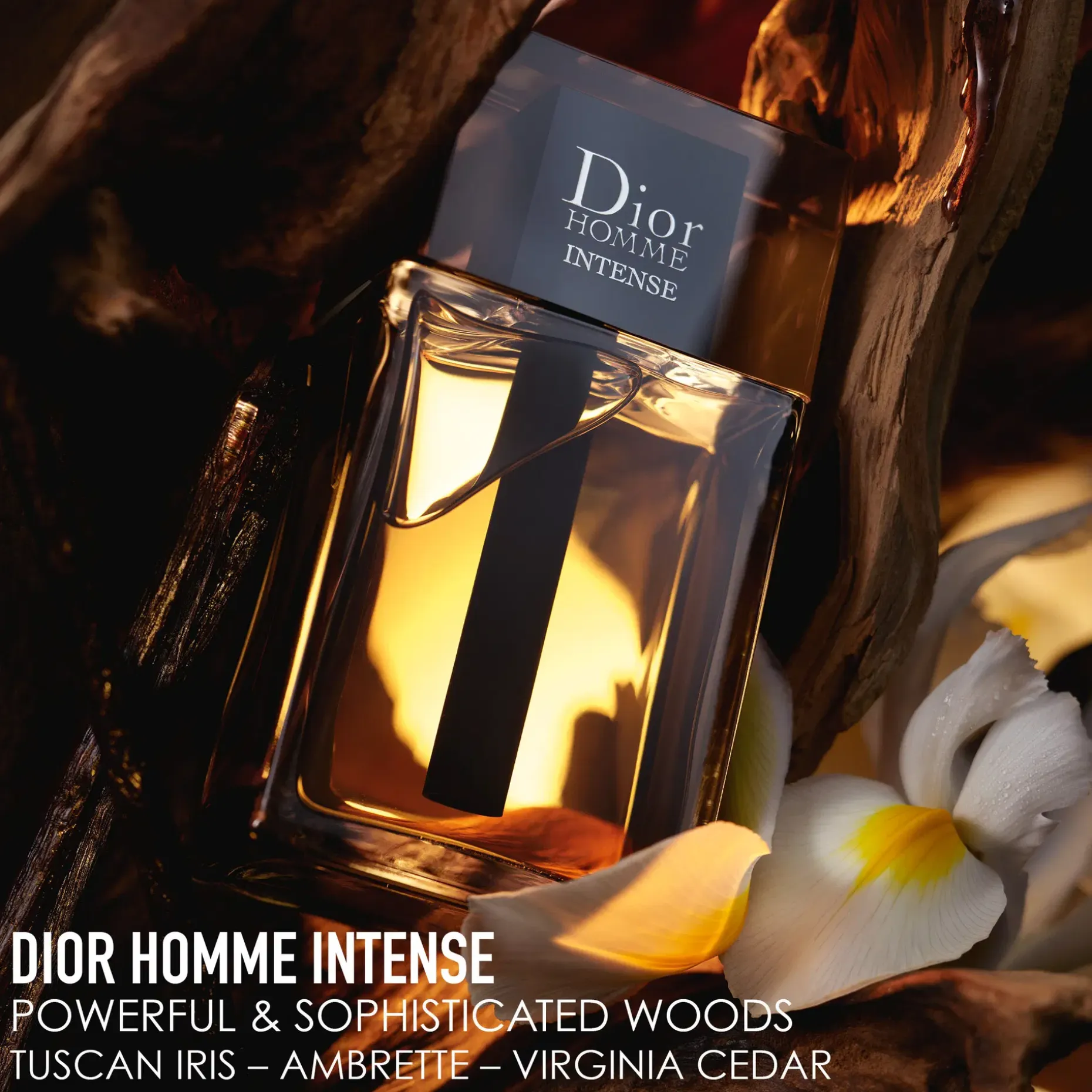 DIOR Homme Intense EdP tuoksu 50 ml