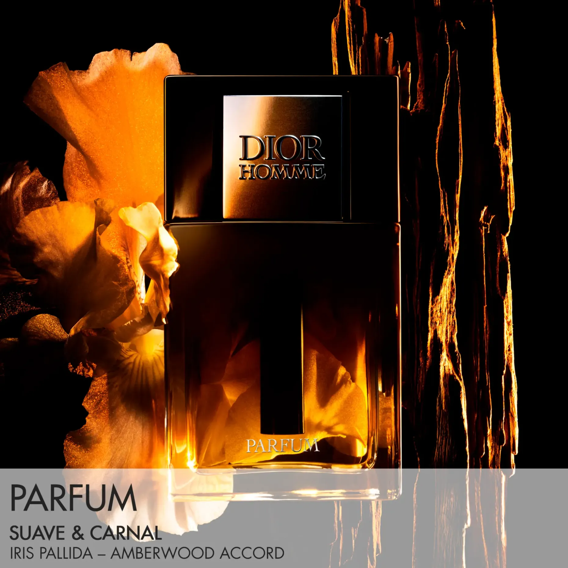 DIOR Homme Parfum Fragrance - Ambery, Woody and Floral Notes 50ml