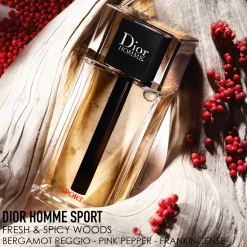 DIOR Homme Sport EdT tuoksu 200 ml