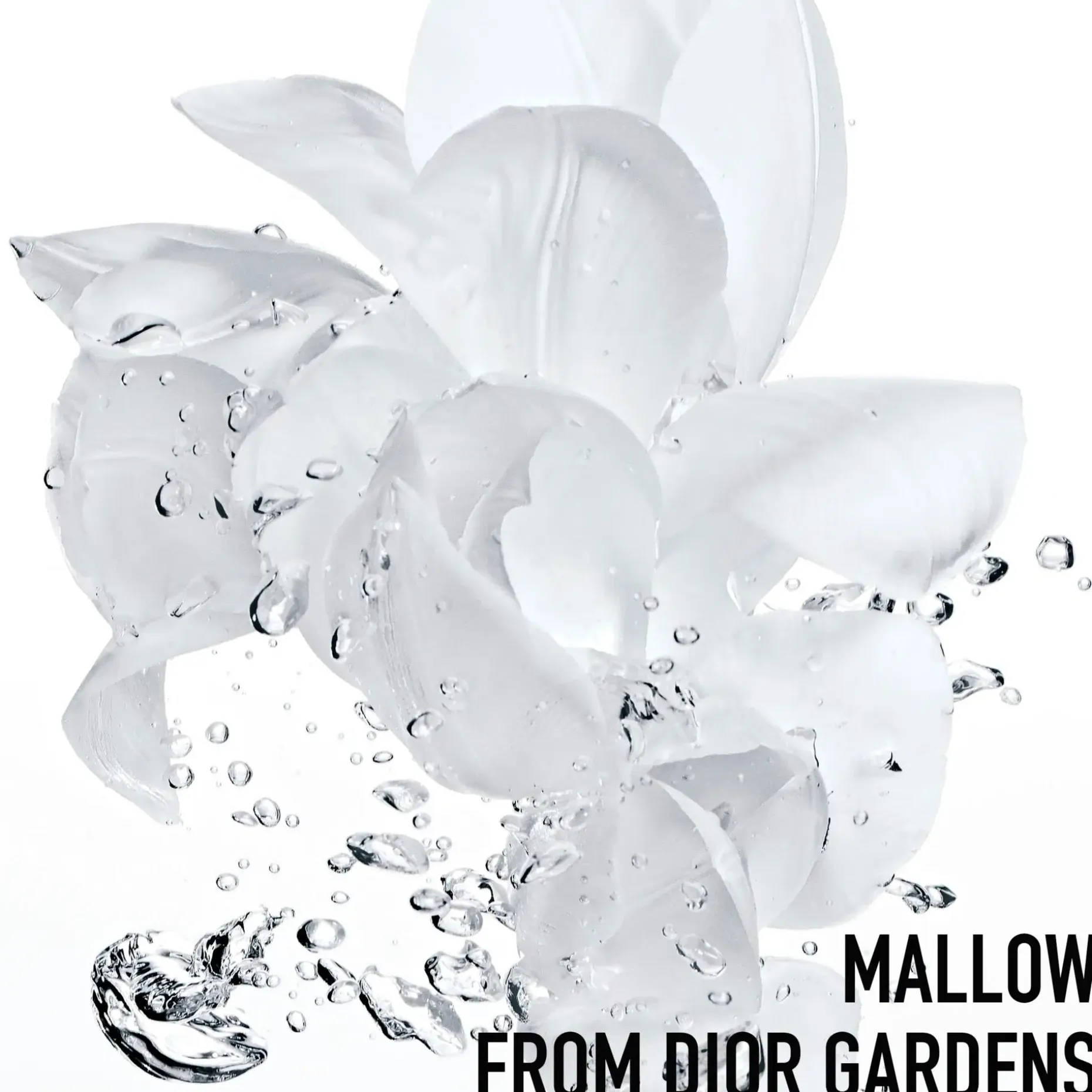 DIOR Hydra Life Balancing hydration 2 in 1 sorbet water hoitoneste 175 ml