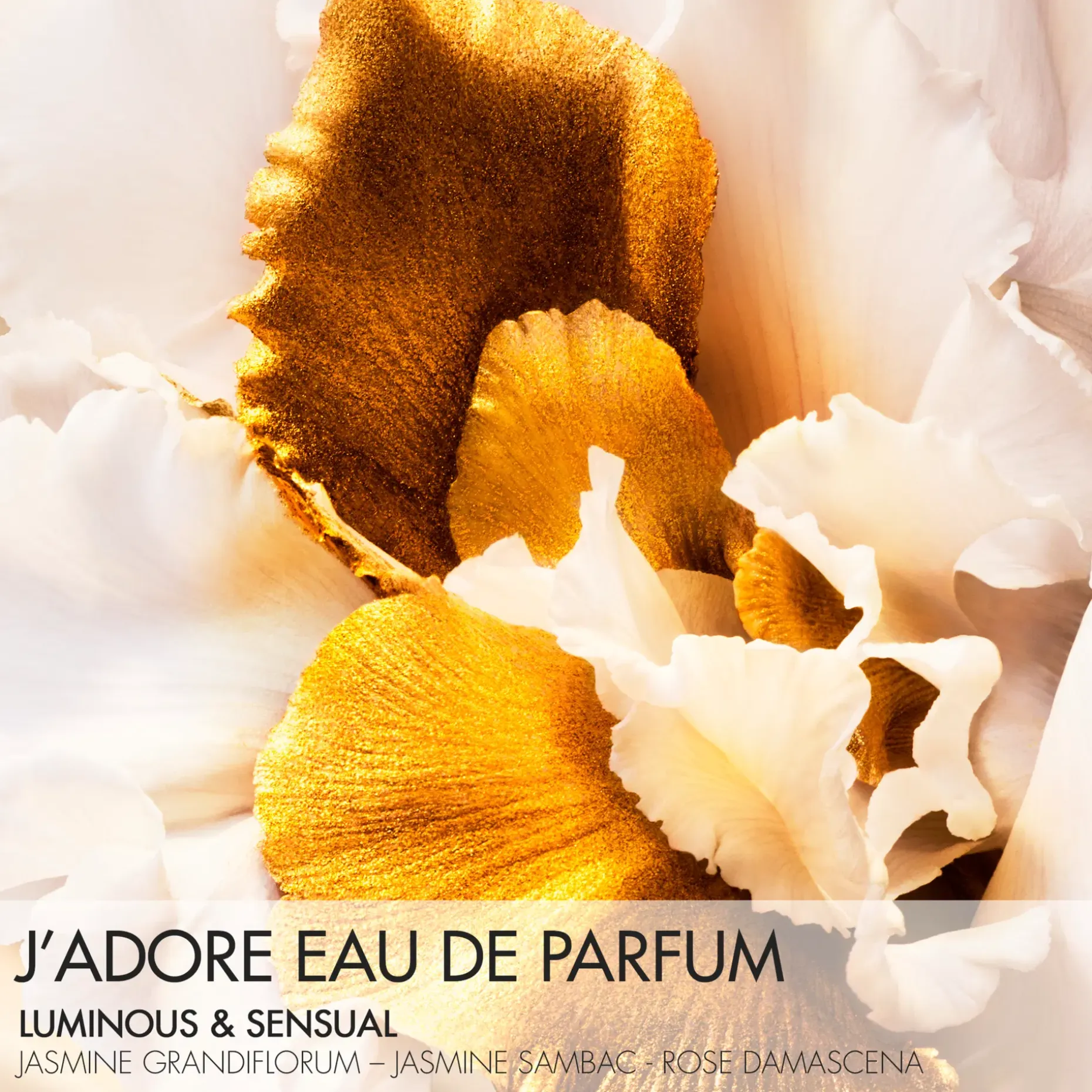 DIOR J'Adore Eau de Parfum 100ml