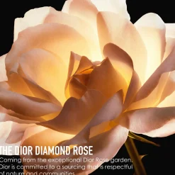 DIOR Prestige La Crème Texture Riche Refill täyttöpakkaus 50 ml