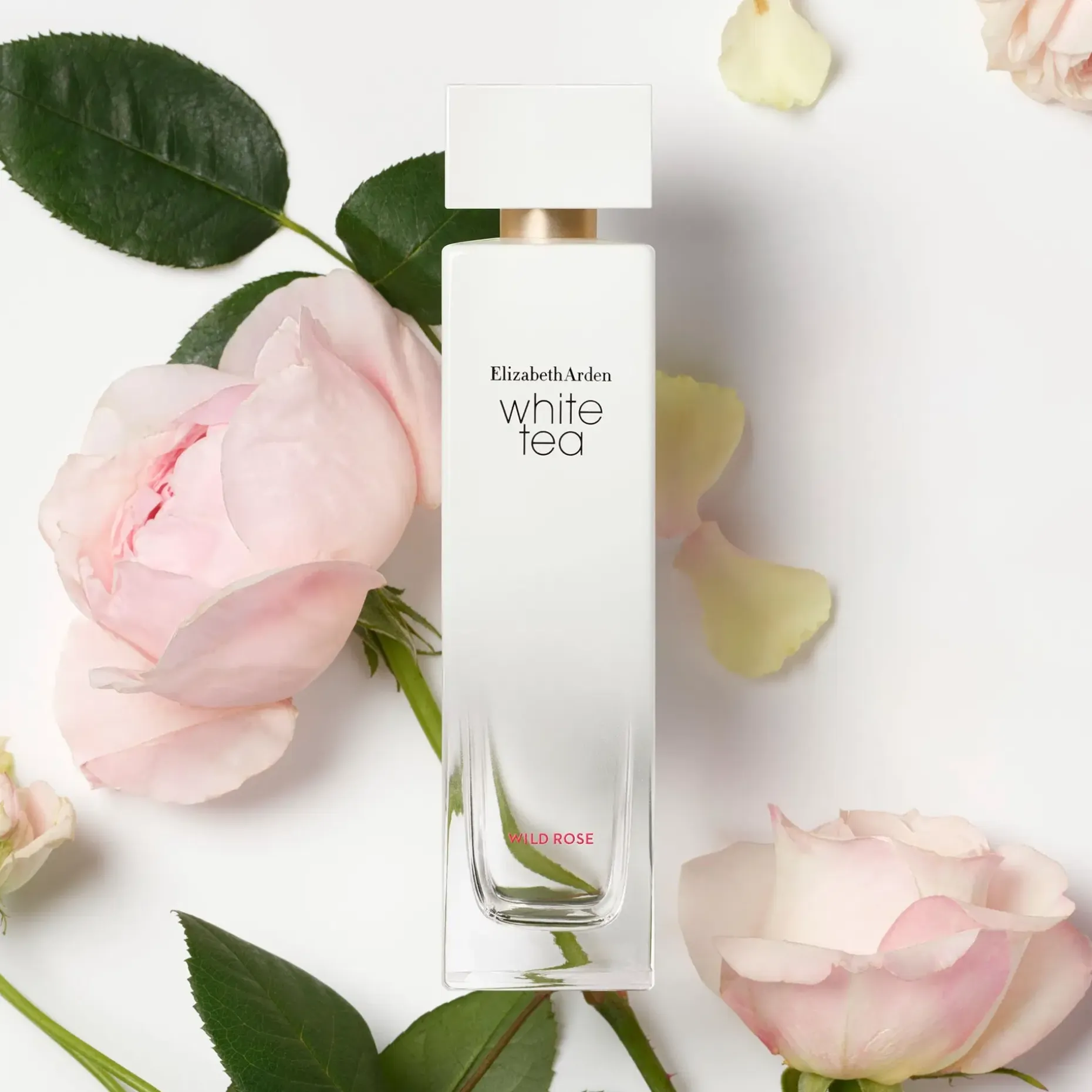 Elizabeth Arden White Tea Wild Rose EdT tuoksu 50 ml