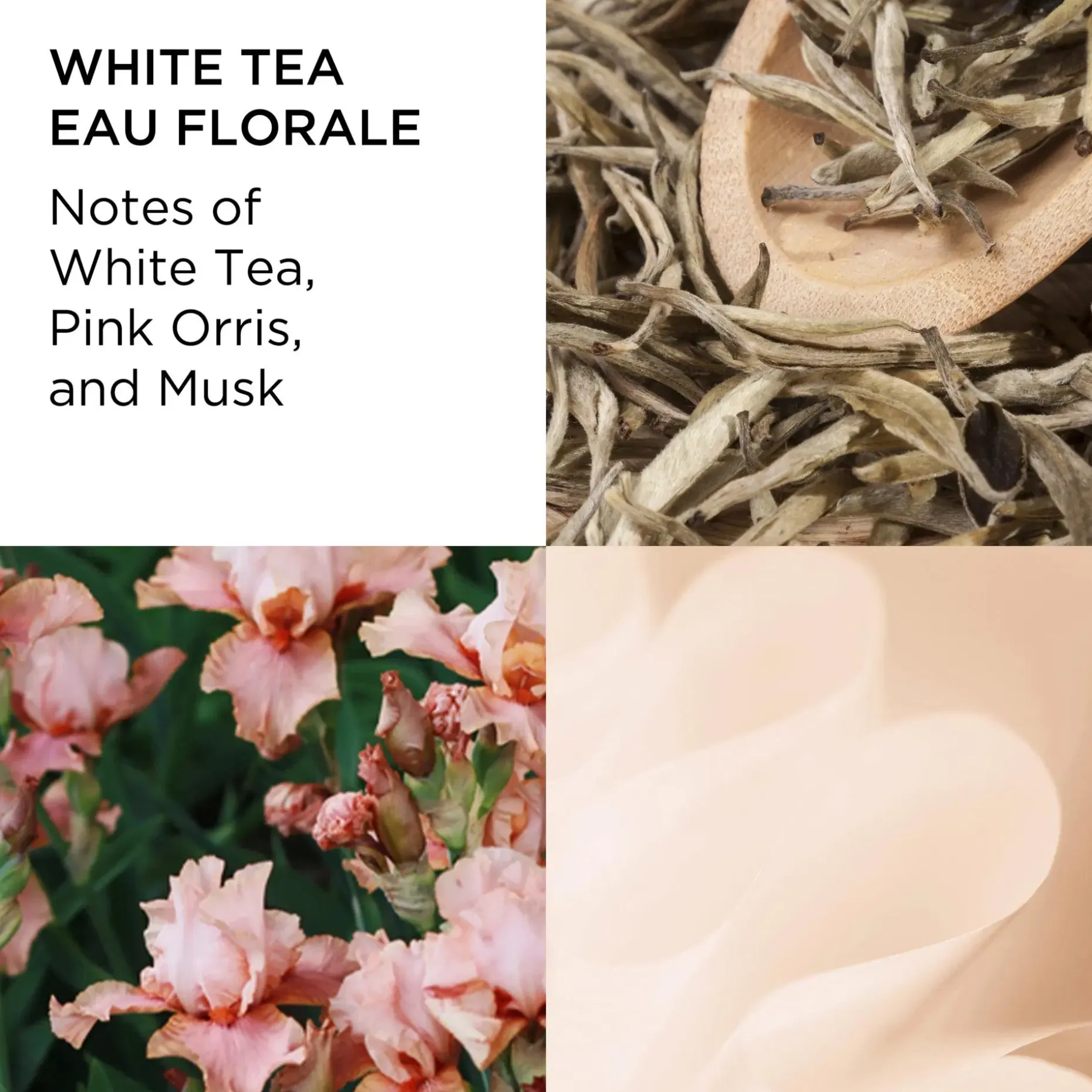 Elizabeth Arden White Tea Eau Florale EdT tuoksu 50 ml