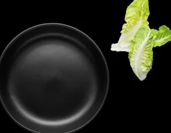 Eva Solo salaattikulho matala Nordic Kitchen 25 cm