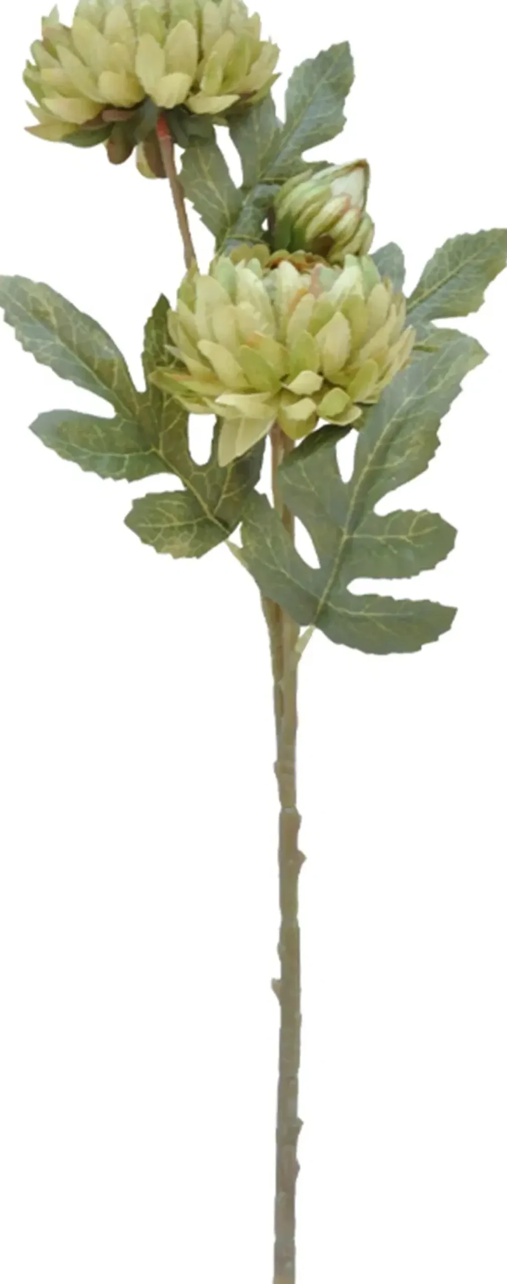 Finnmari Krysanteemi 50 cm vihreä