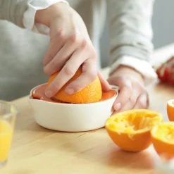 Fiskars Functional Form sitruspuserrin