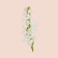 Gucci Bloom Parfum tuoksu 30 ml