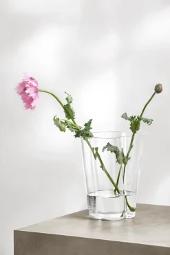 Iittala Aalto maljakko 220mm kirkas