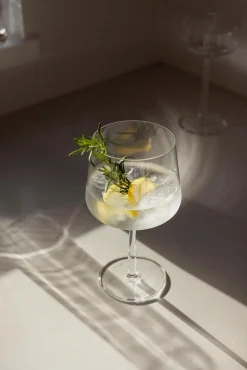 Iittala Essence cocktail lasi 63cl 2kpl