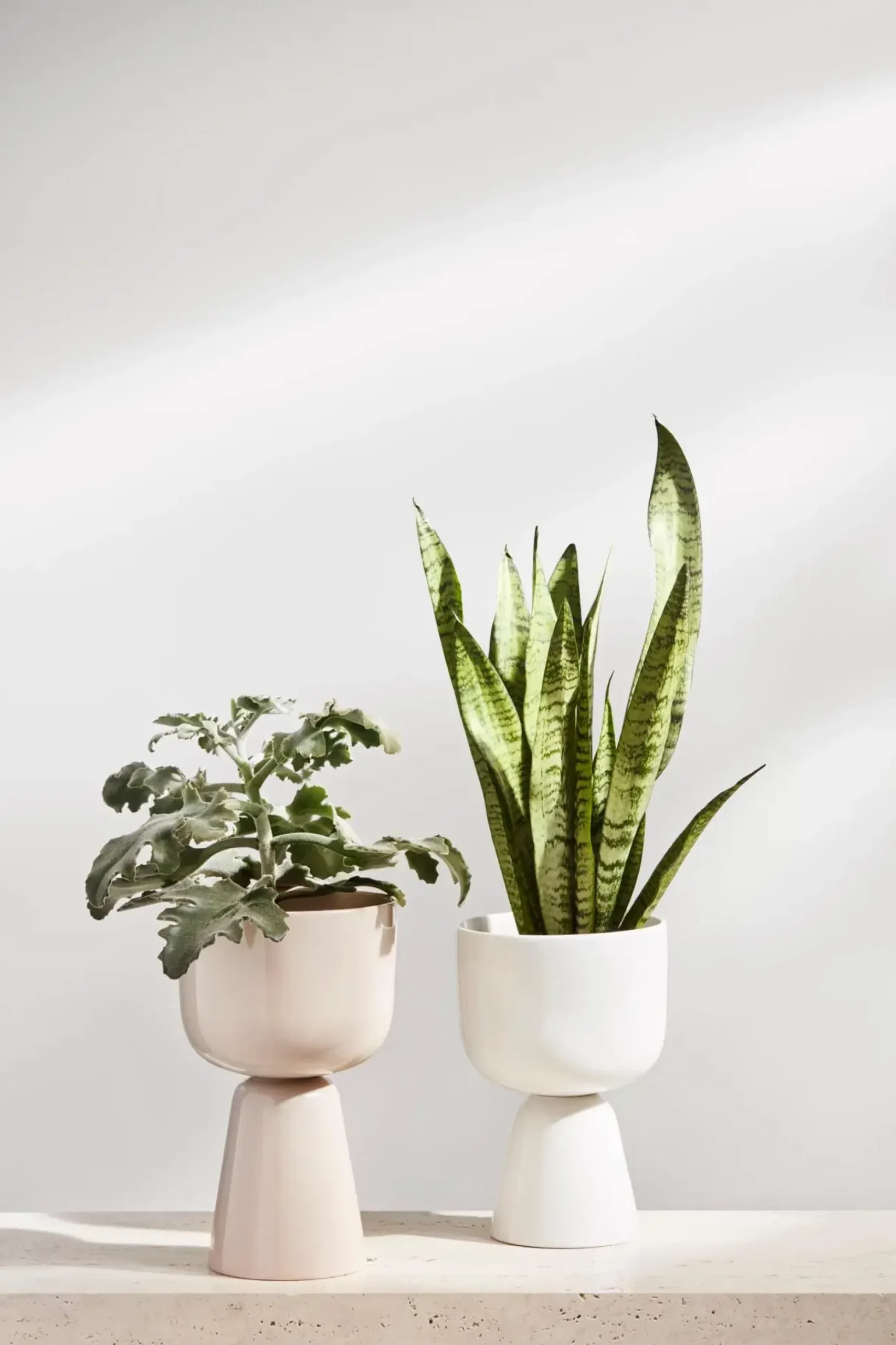 Iittala Nappula ruukku S 260x155mm beige