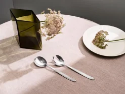 Iittala Scandia tarjoiluvälineet 2kpl