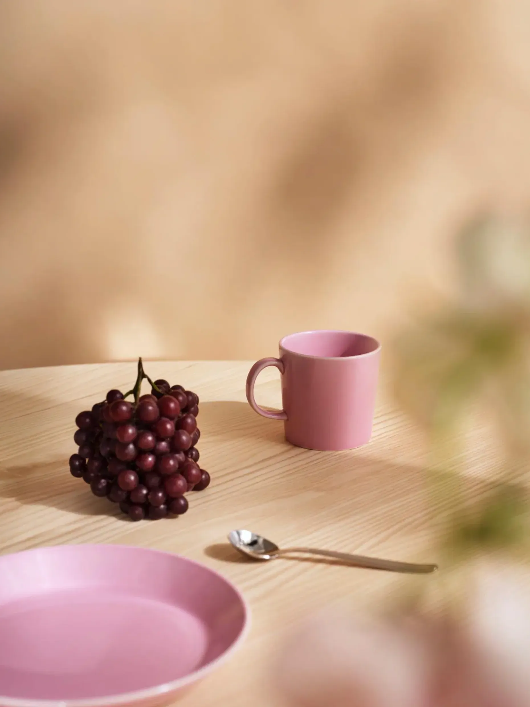 Iittala Teema ruusu lautanen 21cm