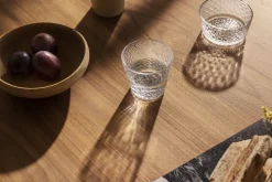 Iittala Tundra juomalasi 29cl kirkas 2kpl