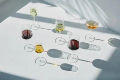 Iittala Valkoviinilasi Essence 33 cl 2 kpl kirkas