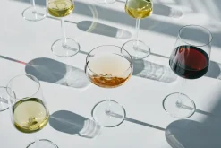 Iittala Valkoviinilasi Essence 33 cl 2 kpl kirkas