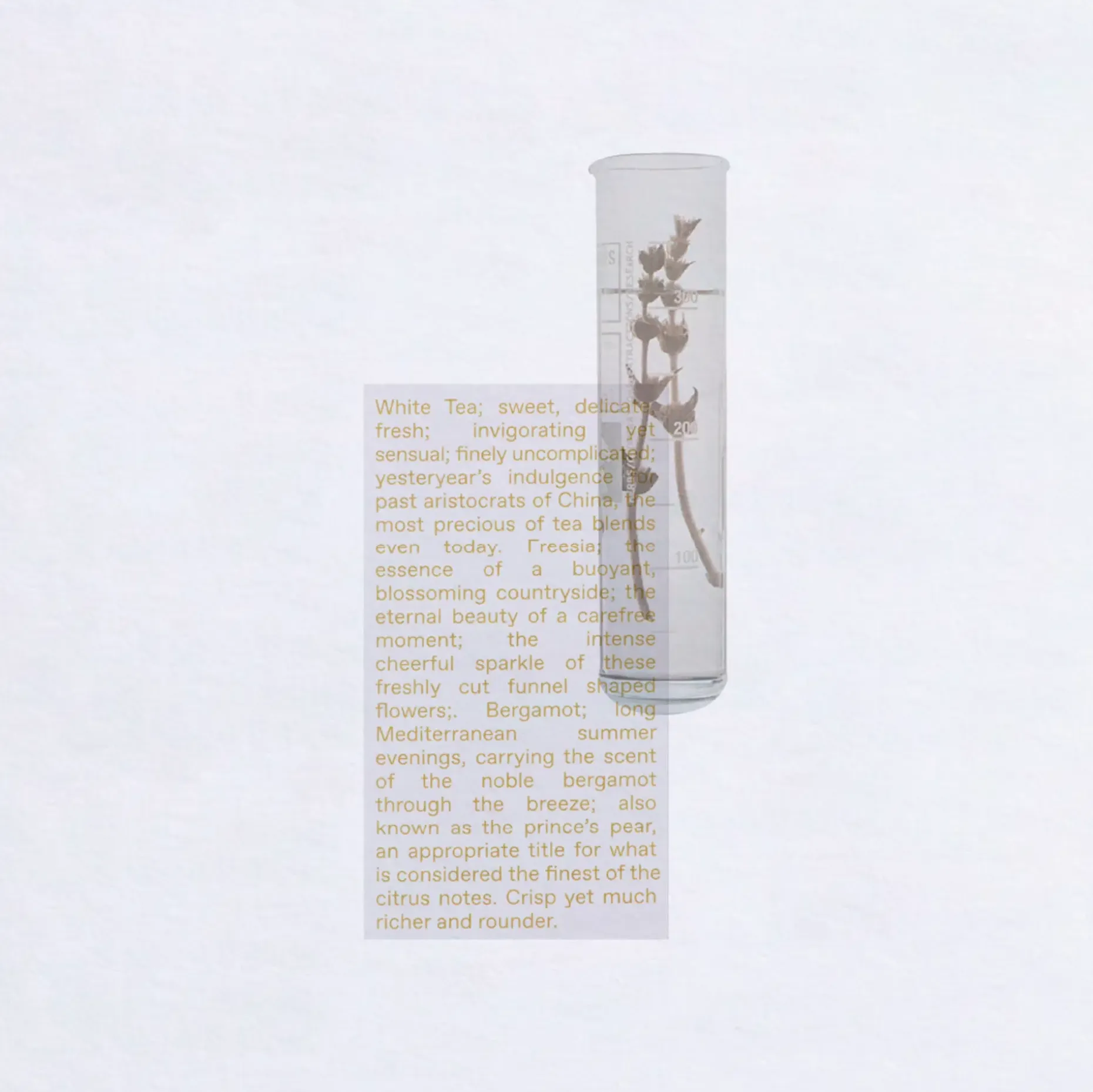 KORRES White Tea Eau de Toilette 100ml