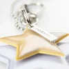 Lasessor Stars heijastin