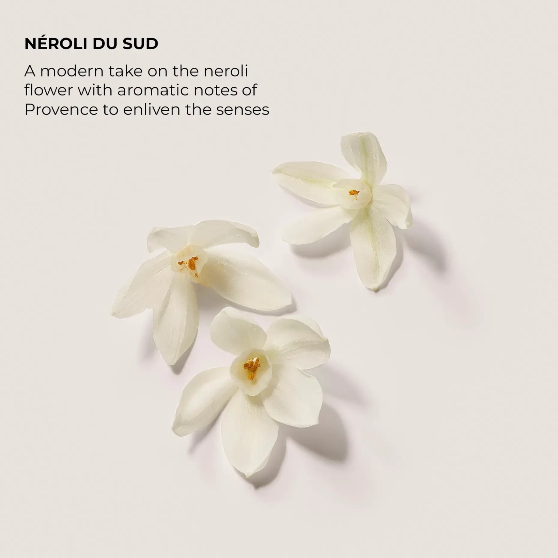Laura Mercier Eau de Parfum Néroli du Sud 50 ml -tuoksu