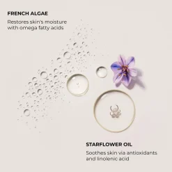 Laura Mercier Serum Body Cream Almond Coconut vartalovoide 200 ml