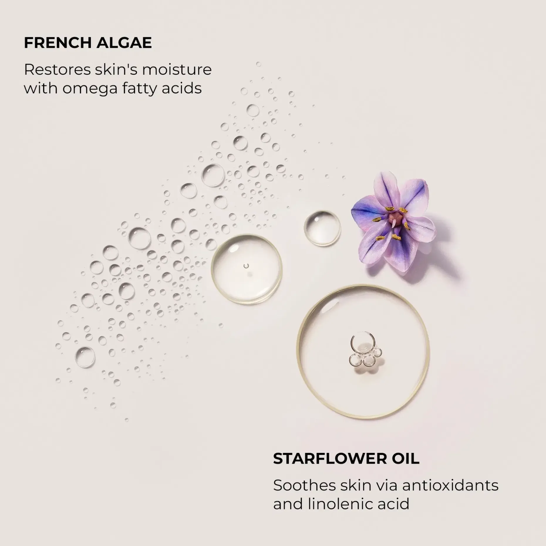 Laura Mercier Serum Body Cream Almond Coconut vartalovoide 200 ml