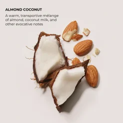 Laura Mercier Serum Body Cream Almond Coconut vartalovoide 200 ml