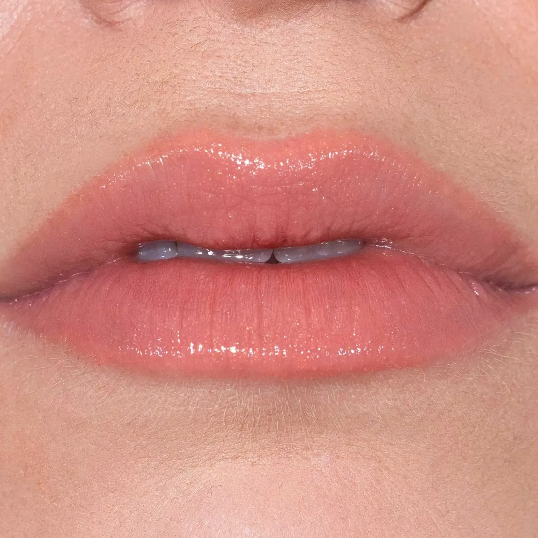 LH cosmetics Fantastick -huulipuna 2 g