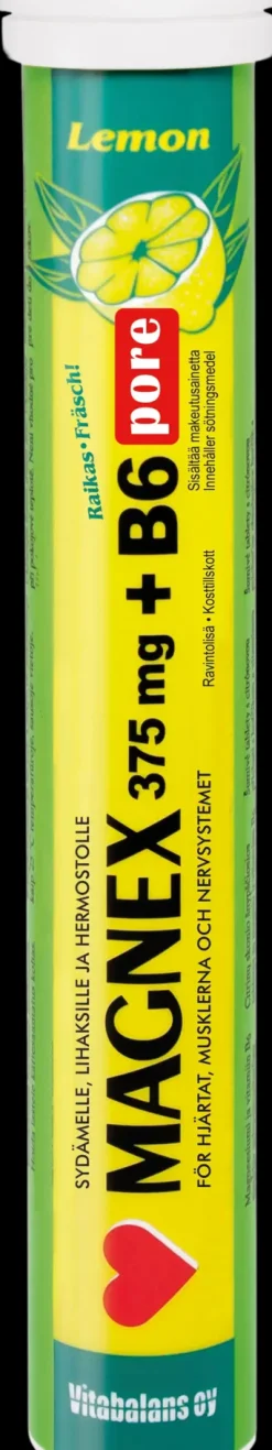 Magnex 375 mg + B6 pore 20 tabl.