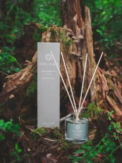 Metsä/Skogen huonetuoksu koivumetsä 100 ml