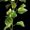 Mica decorations Sisustusoksa Kultaköynnös 74 cm vihreä