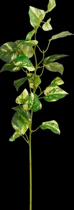 Mica decorations Sisustusoksa Kultaköynnös 74 cm vihreä