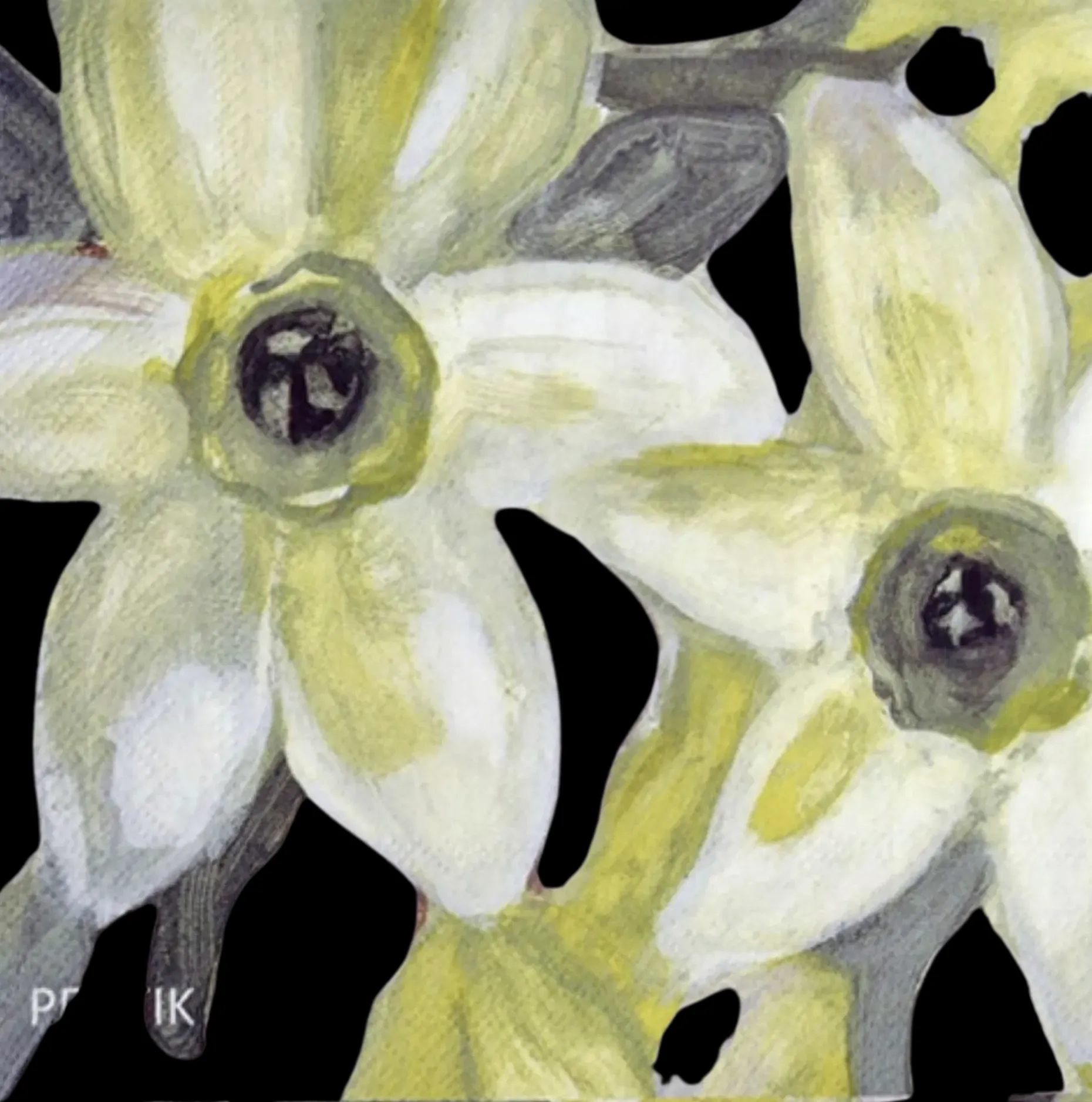 Pentik 33cm Narsissi keltainen 20kpl lautasliina