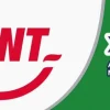 Pepsodent Xylitol Hammastahna Ksylitolia sisältävä fluorihammastahna 50 ml