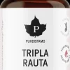 Puhdistamo Tripla Rauta 60 kaps.