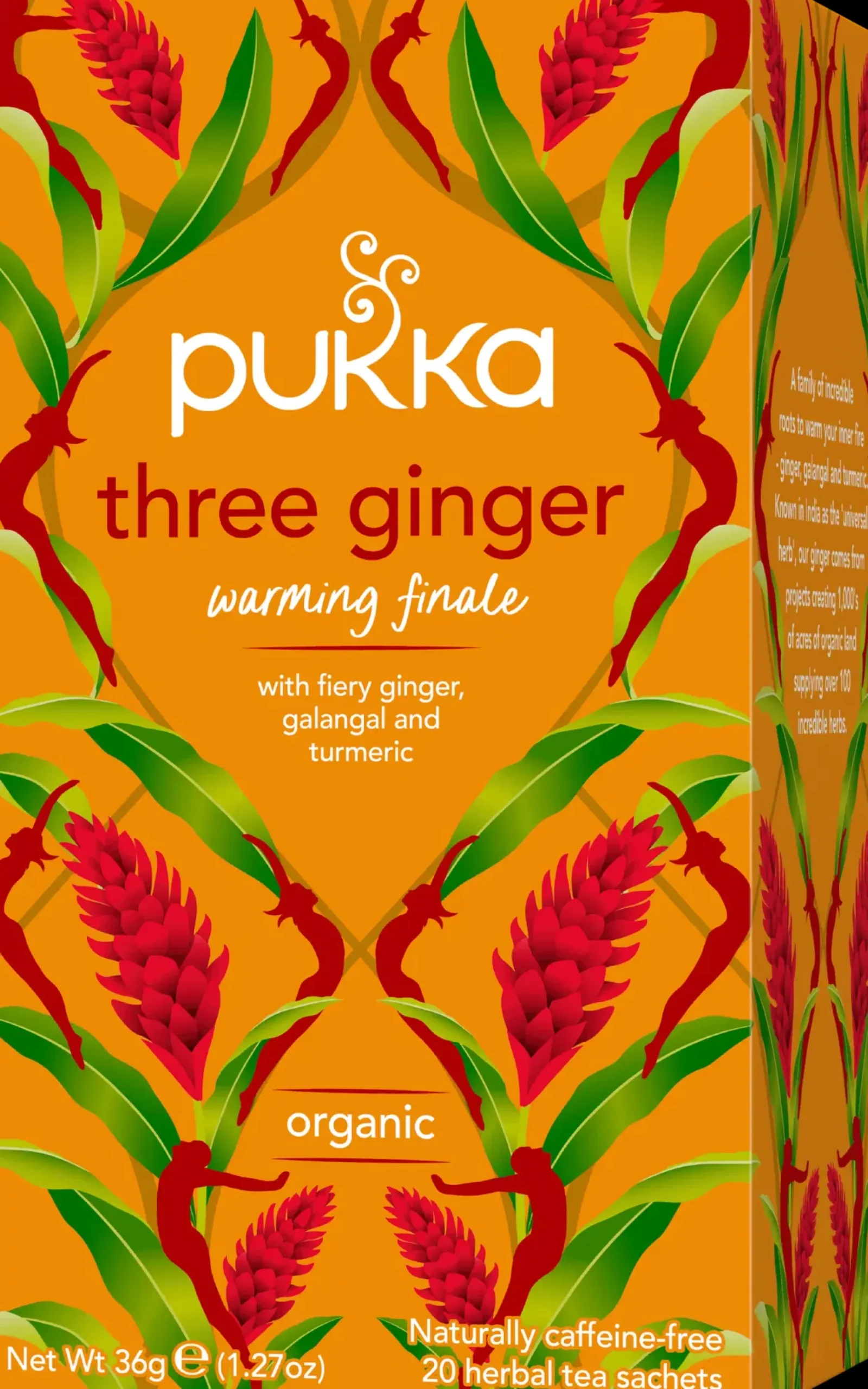 Pukka Yrttitee Three Ginger luomu 20p