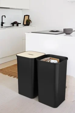 SmartStore™ kannellinen lajittelulaatikko Collect 53 L
