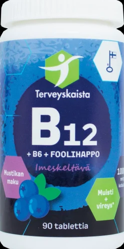 Terveyskaista B12+B6+Foolihappo, imeskeltävä (mustikka) 90 tabl.