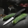 Victorinox hedelmäveitsi 10cm