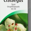 Vogel Crataegus orapihlajauute 50 ml